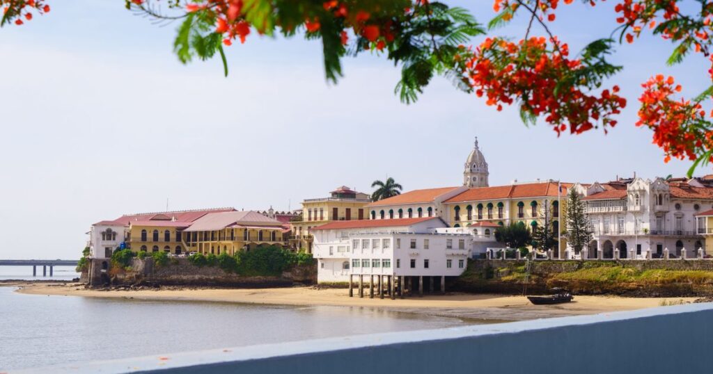 Colorful colonial buildings line a calm bay, with a sandy beach and a red-flowered branch in the foreground.