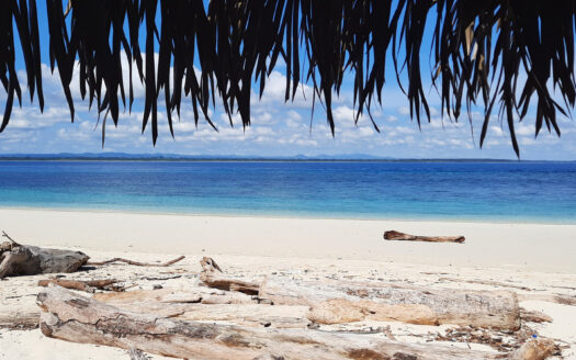 Tropical beach with white sand, driftwood pieces, and turquoise water under a thatched shade. A distant boat rests near the shore.
