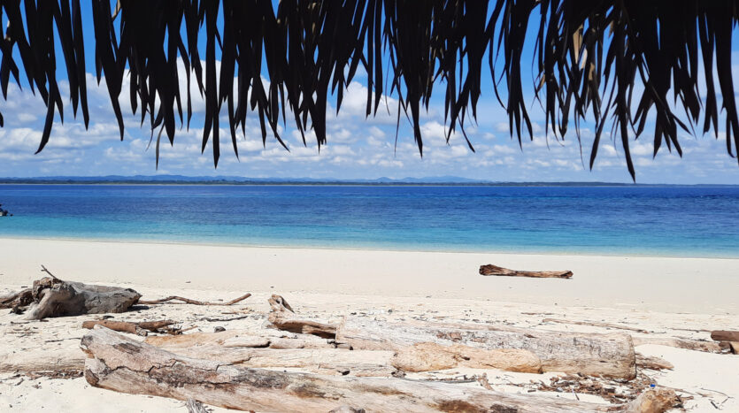 Tropical beach with white sand, driftwood pieces, and turquoise water under a thatched shade. A distant boat rests near the shore.