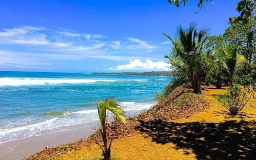 Tropical beach scene with blue ocean, turquoise waves along a sandy shore, and palm trees casting shadows on a sunlit cliffside.