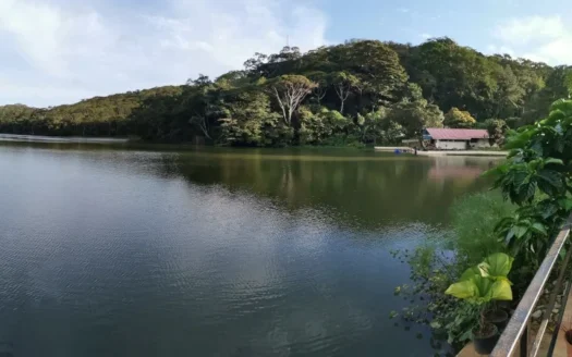 Calm lake edged by dense forest with a small building along the shore and a railing in the foreground.