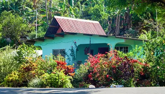 migrated-Sye39p-Post_content_image__5379862 - Panama Elite Homes Turquoise cottage with a red metal roof surrounded by lush tropical garden and flowering shrubs by the road.
